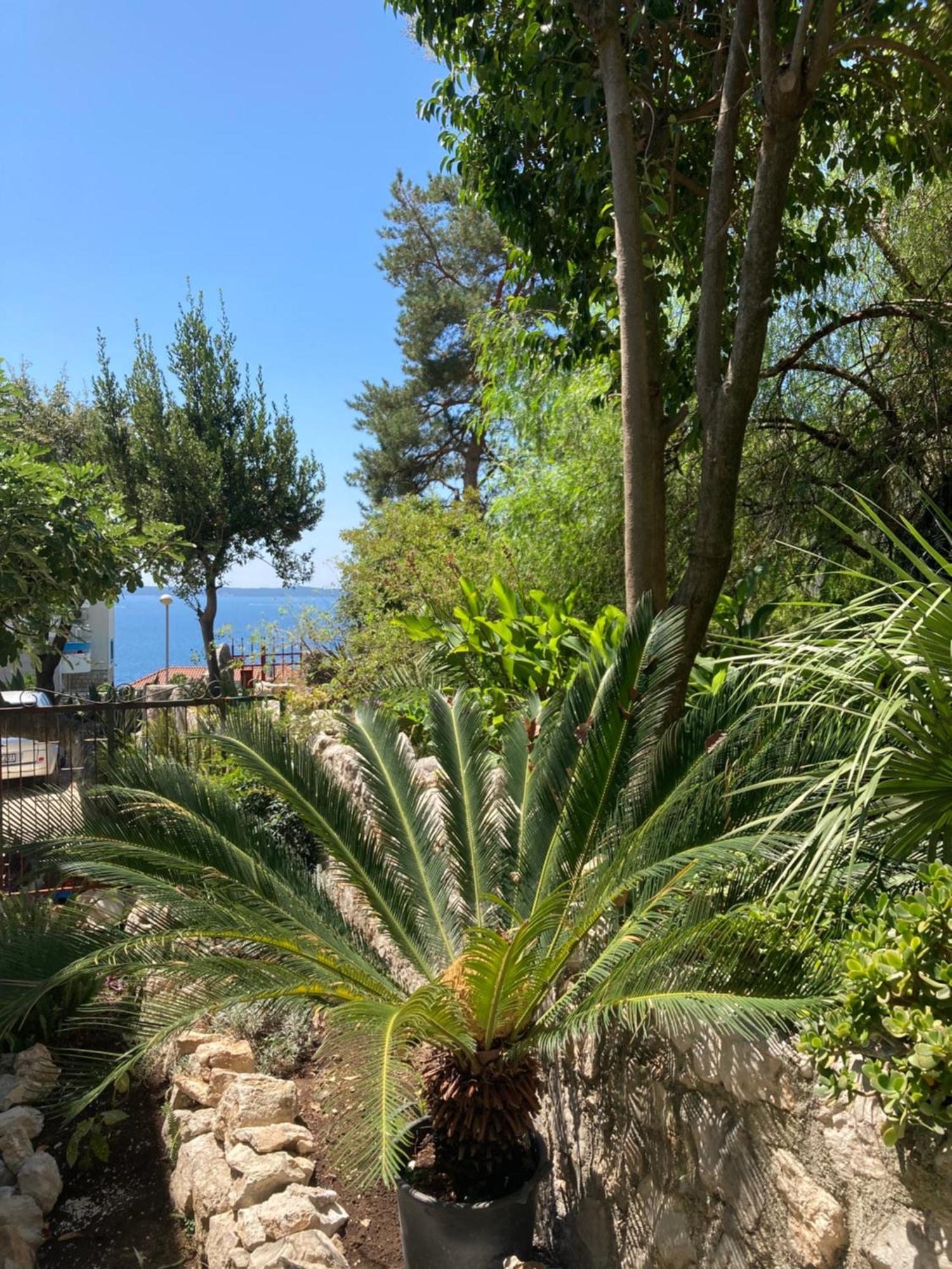 Apartments Milicevic Herceg Novi Exterior foto